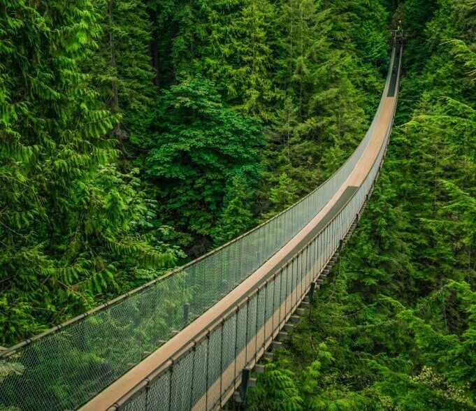 Capilano Bridge