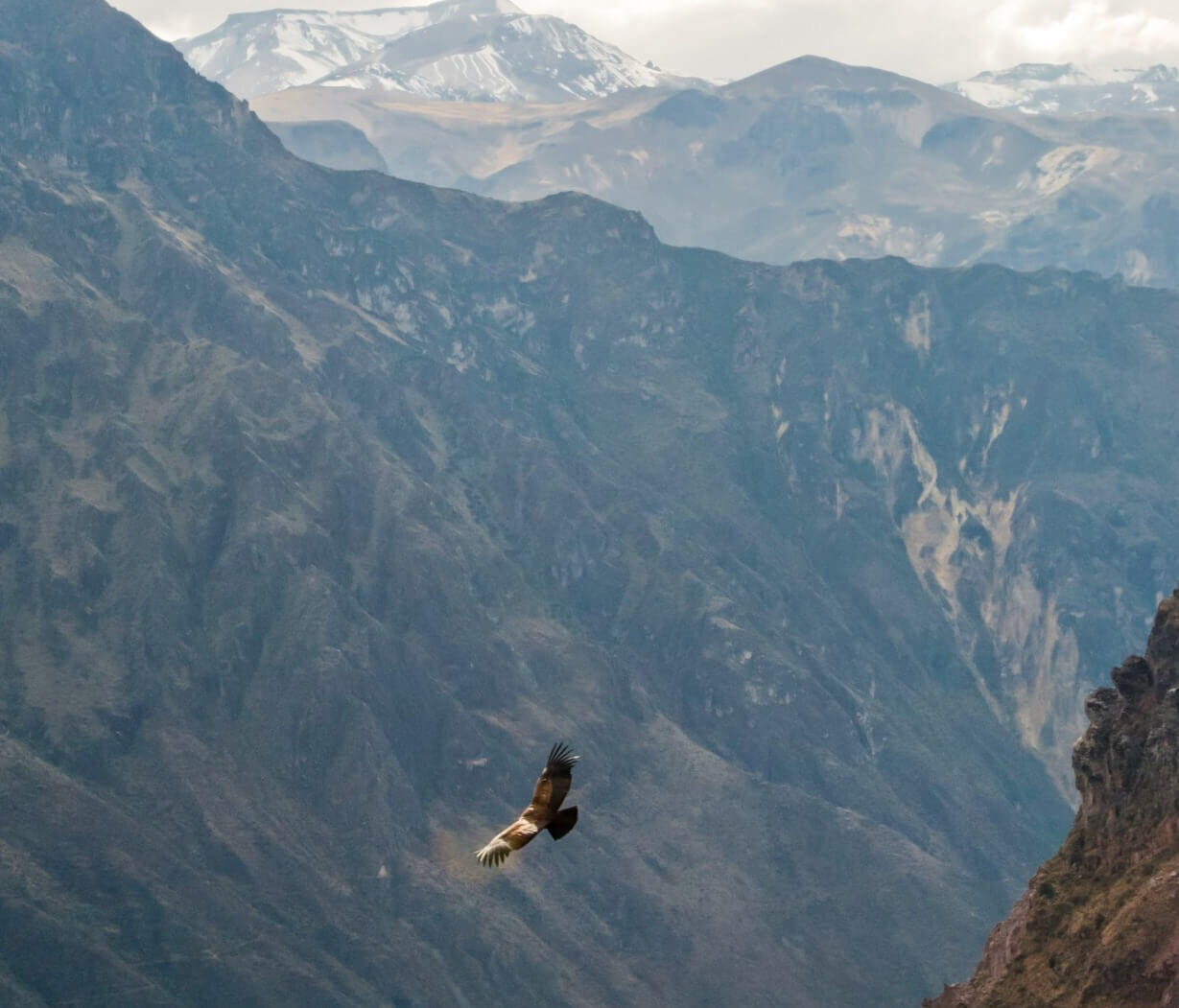 Colca Canyon