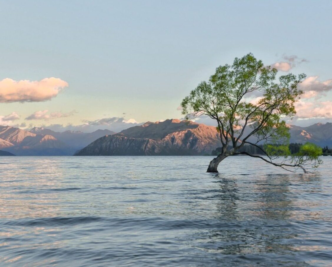 Lake Wanaka