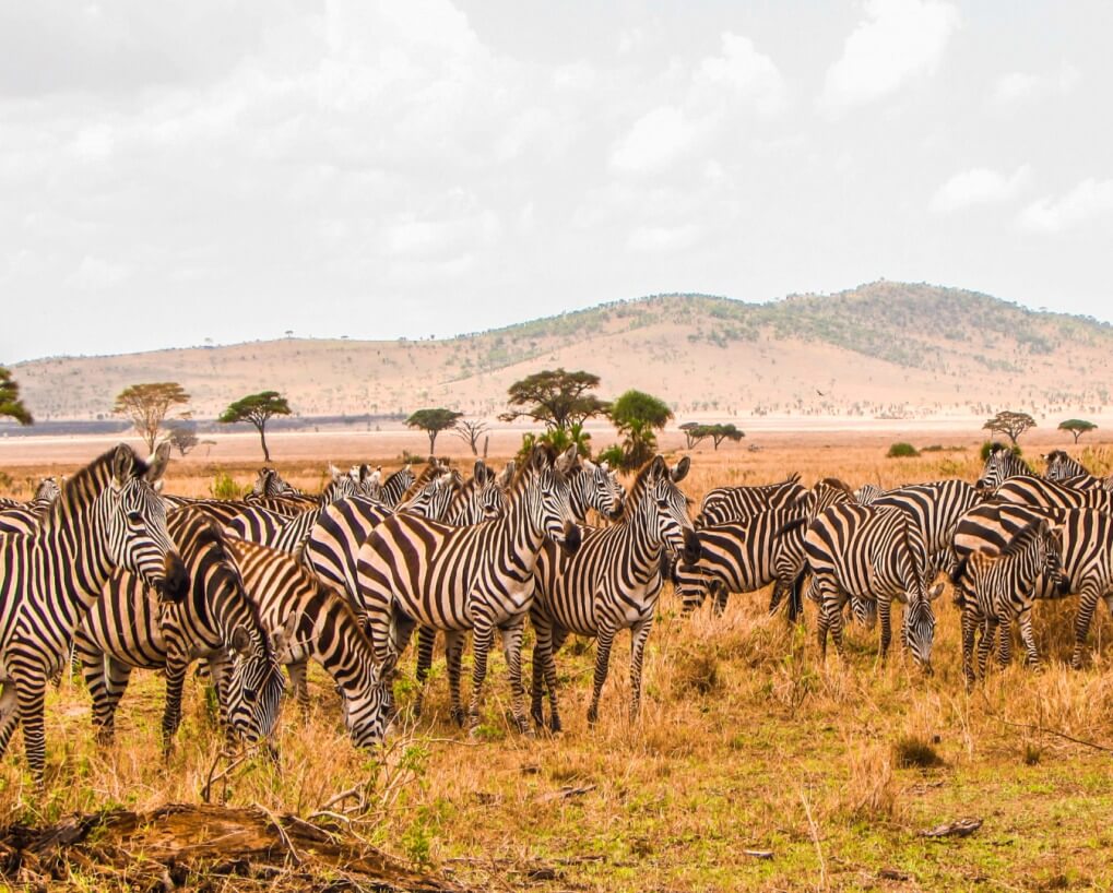 Serengeti National Park