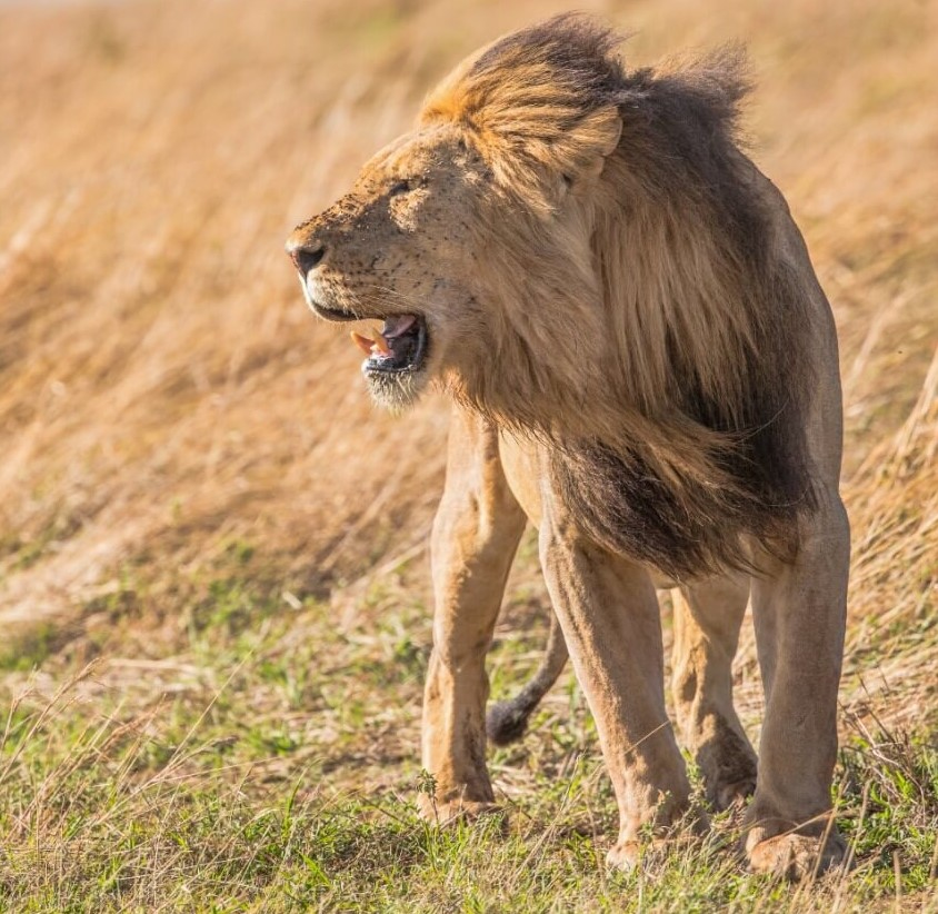 Kruger National Park