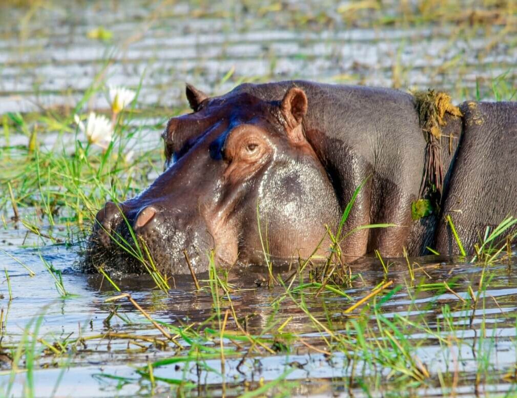 iSimangaliso