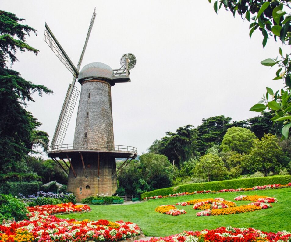 Golden Gate Park